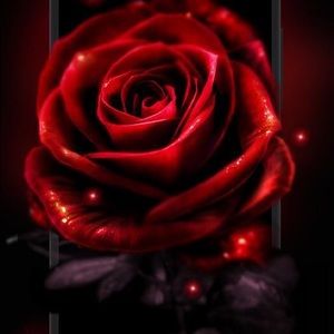 Meet your Posher, Lateef